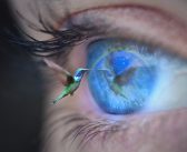 O plano espiritual e material são uma realidade só