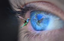 O plano espiritual e material são uma realidade só
