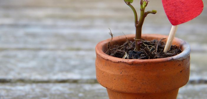 O fim de um longo Ano Universal 9